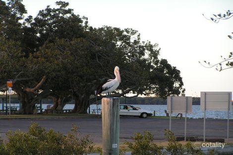 Property photo of 32 Cedar Street Wynnum QLD 4178