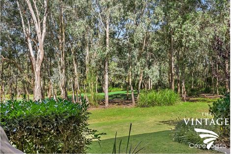 Property photo of 53 Angophora Drive Pokolbin NSW 2320