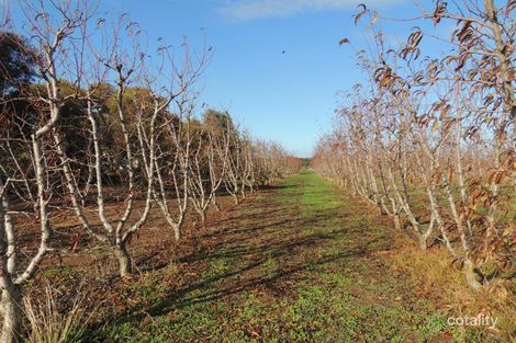 64 Glover Rd, Woorinen North, VIC 3589