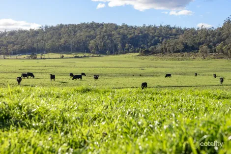 290 Batman Hwy, Sidmouth, TAS 7270