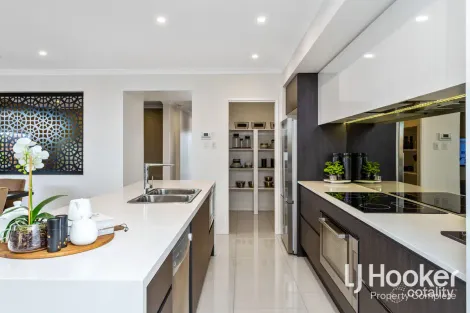 Property photo of 8 Mason Street Yarrabilba QLD 4207