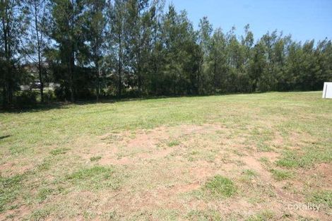 Property photo of 51 Aristida Circuit Mount Annan NSW 2567