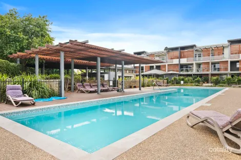 80/16 Hetherington Ave, Bulimba, QLD 4171