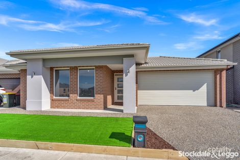 8 Margot Cct, Kalkallo, VIC 3064