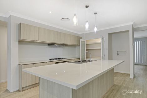 10 White Beech Rd, Noosa Heads, QLD 4567
