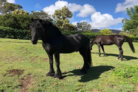 218 Avalon Rd, Sheldon, QLD 4157