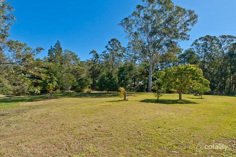 Property photo of 217 Campbells Pocket Road Wamuran QLD 4512