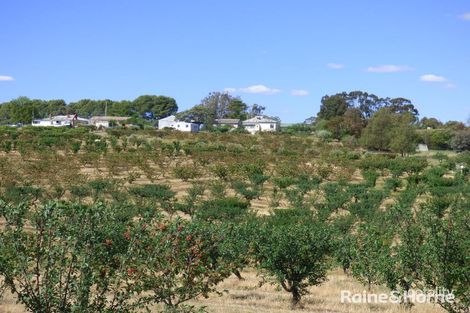 Property photo of 122 Chums Lane Young NSW 2594