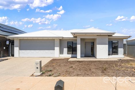 Property photo of 31 Kapinka Parade Riverlea Park SA 5120