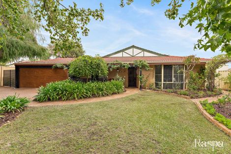 Property photo of 17 Hamlet Court Bibra Lake WA 6163