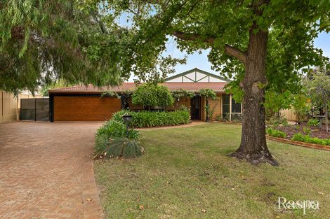 Property photo of 17 Hamlet Court Bibra Lake WA 6163