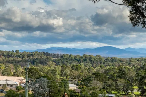Property photo of 21 Riverview Crescent Catalina NSW 2536