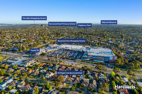 Property photo of 10 Pippin Avenue Burwood East VIC 3151