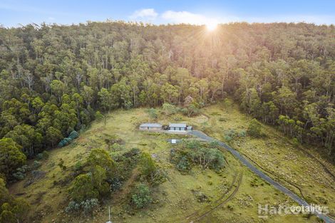 3981 Tasman Hwy, Runnymede, TAS 7190