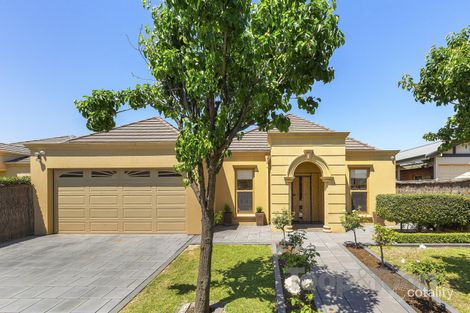 Property photo of 21 Birdwood Street Netherby SA 5062