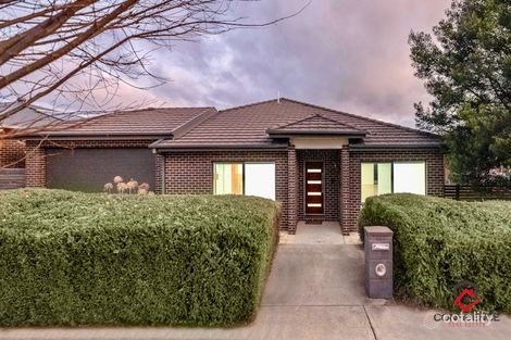 Property photo of 20 Butterfish Street Harrison ACT 2914