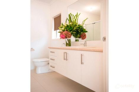 Property photo of 7 Webb Street Fulham Gardens SA 5024