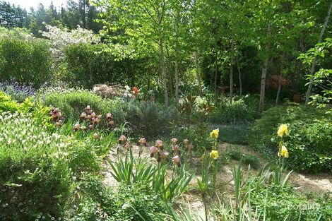 Property photo of 18 Herbert Street Leura NSW 2780