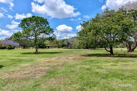 Property photo of 25 Montrose Street Gordon Park QLD 4031
