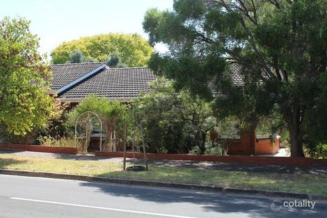 Property photo of 60 Linden Avenue Hazelwood Park SA 5066