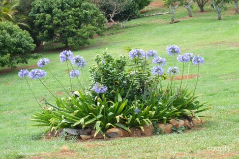 Property photo of 14 Bellview Drive Ravenshoe QLD 4888