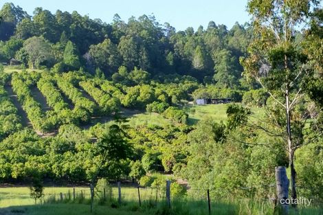 Property photo of 446 Blade Road Stony Chute NSW 2480