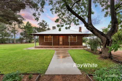 Property photo of 48 Euston Avenue Irymple VIC 3498