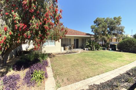81 Chandos Tce, Lameroo, SA 5302