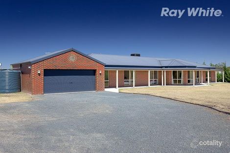 Property photo of 31 Lobbe Road Thurgoona NSW 2640
