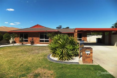 Property photo of 12 Attwood Court Shepparton VIC 3630