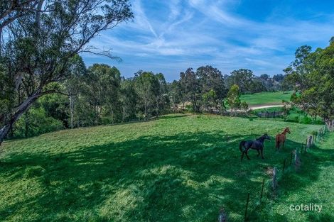 Property photo of 320 Goorangoola Creek Road Goorangoola NSW 2330