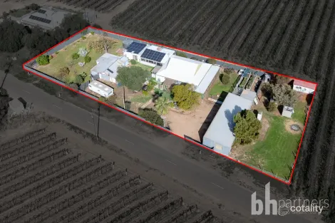 55 Pommy Ave, Barmera, SA 5345