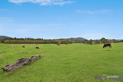 Property photo of 14 Cookes Road Conondale QLD 4552