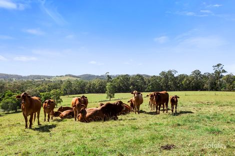 Property photo of 26 Harris Road Wilsons Pocket QLD 4570