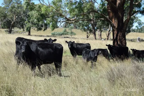 3158 Baldersleigh Rd, Baldersleigh, NSW 2365