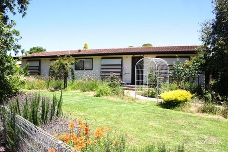 Property photo of 175 Nelson Street Nhill VIC 3418