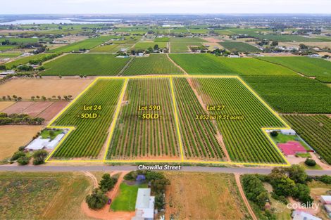 Property photo of LOT 27 Chowilla Street Renmark West SA 5341