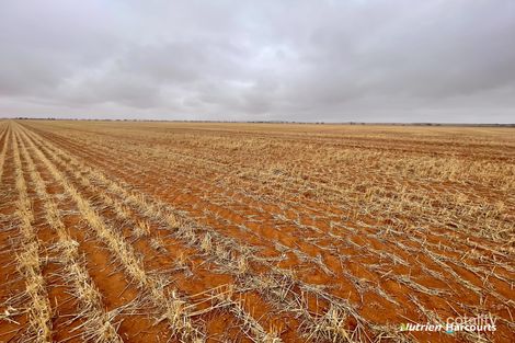 1662 Morawa-Yalgoo Rd, Pintharuka, WA 6623