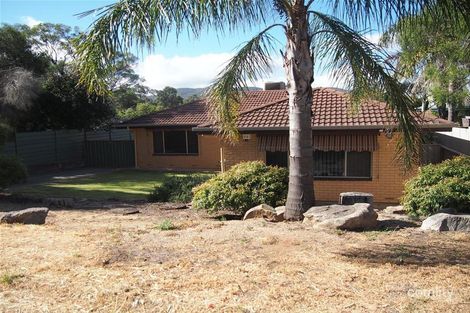 Property photo of 7 Mayfred Avenue Hope Valley SA 5090