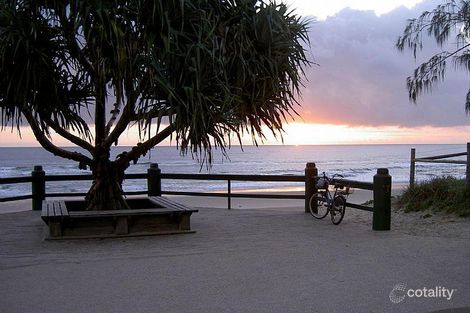 Property photo of 3 Cupania Street Mudjimba QLD 4564