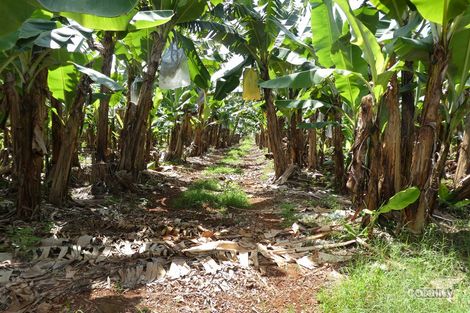 Property photo of 1 Sunset Road Eubenangee QLD 4860