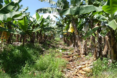 Property photo of 1 Sunset Road Eubenangee QLD 4860