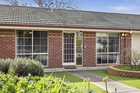 Property photo of 3/57 Brown Street Castlemaine VIC 3450
