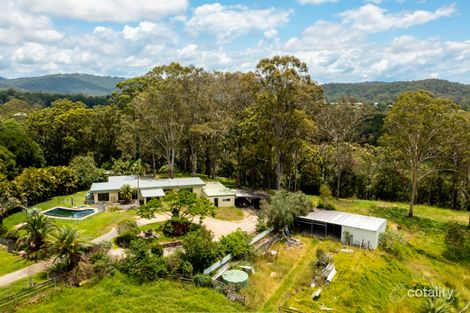 Property photo of 49 Trees Road Tallebudgera QLD 4228