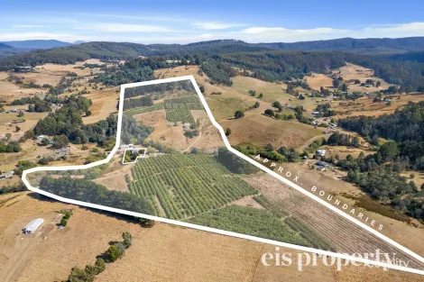 41 Donnellys Rd, Geeveston, TAS 7116