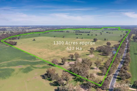 1 Ballintine Rd, Stewarton, VIC 3725