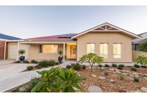 36 Browning Ave, Plympton Park, SA 5038