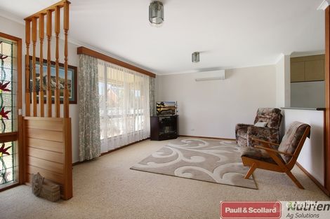 Property photo of 5 Day Street Henty NSW 2658