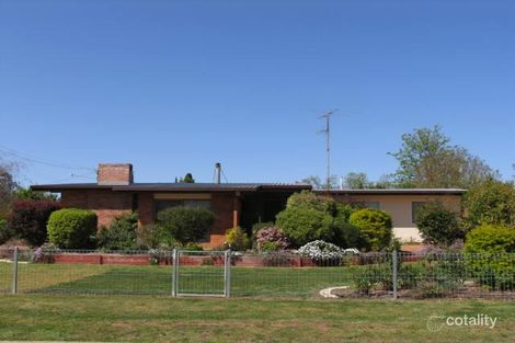 14 Collins St, Pittsworth, QLD 4356