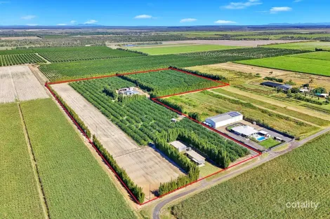 243 Wises Rd, Alloway, QLD 4670